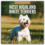 Kartonierter Einband West Highland White Terriers 2026 Square Wall Calendar von Red Robin