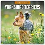 Kartonierter Einband Yorkshire Terriers 2026 Square Wall Calendar von Red Robin