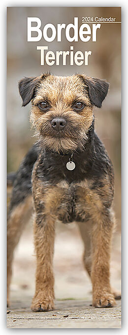 Calendrier Border Terrier 2024 de Avonside Publishing Ltd