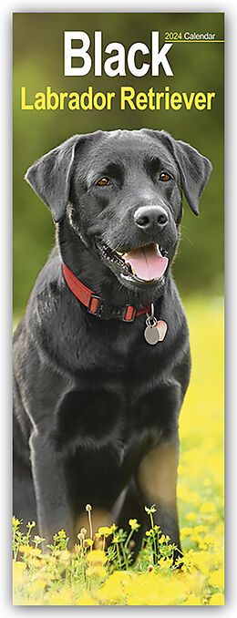 Calendrier Black Labrador Retriever - Schwarze Labrador Retriever 2024 de Avonside Publisher Ltd