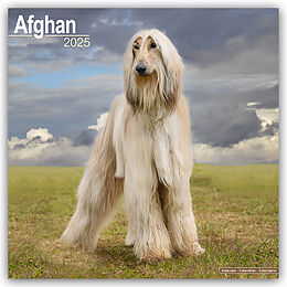 Kalender (Kal) Afghan  Afghanen 2025  16-Monatskalender von Avonside Publishing