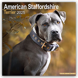 Kalender (Kal) American Staffordshire Terrier 2025  16-Monatskalender von Avonside Publishing