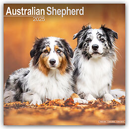 Kalender (Kal) Australian Shepherd  Australische Schäferhunde 2025  16-Monatskalender von Avonside Publishing Ltd