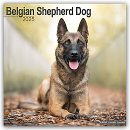 Kalender Belgian Shepherd Dog  Belgischer Schäferhund 2025  16-Monatskalender von Avonside Publishing