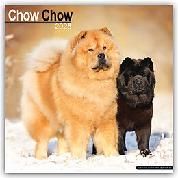Kalender (Kal) Chow Chow 2025 - 16-Monatskalender von Avonside Publishing Ltd