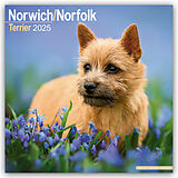 Geheftet Norfolk Terrier 2025- 16-Monatskalender von Avonside Publishing Ltd