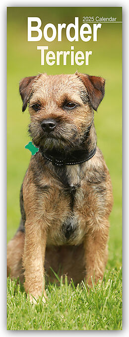 Calendrier Border Terrier 2025 de Avonside Publishing Ltd