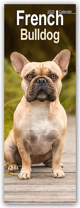 Calendrier French Bulldog 2025 de Avonside Publishing Ltd