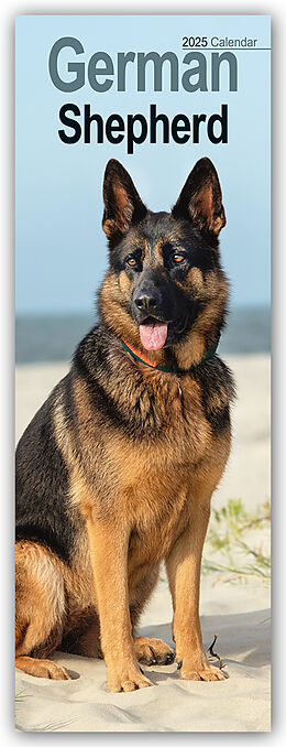 Calendrier German Shepherds  Deutsche Schäferhunde 2025 de Avonside Publishing