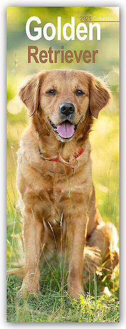 Calendrier Golden Retrievers  Golden Retriever 2025 de Avonside Publishing Ltd