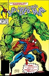 Fester Einband Spider-Man & Hulk von Conway Gerry, Michelinie David, Mantlo Bill