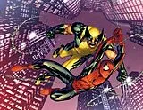 Fester Einband Spider-Man & Wolverine von Aaron Jason