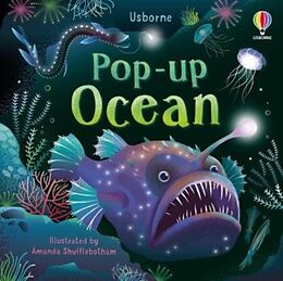 Reliure en carton indéchirable Pop-up Ocean de Lizzie Cope