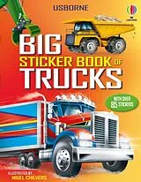 Kartonierter Einband Big Sticker Book of Trucks von Simon Tudhope