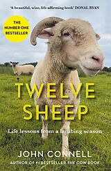 eBook (epub) Twelve Sheep de John Connell