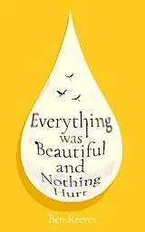 Kartonierter Einband Everything was Beautiful and Nothing Hurt von Ben Reeves