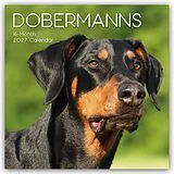 Kalender Dobermans  Dobermann 2027  16-Monatskalender von Gifted Stationery Co. Ltd