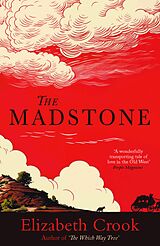 E-Book (epub) The Madstone von Elizabeth Crook