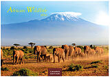 Kalender African Wildlife 2025 S 24x35 cm von 