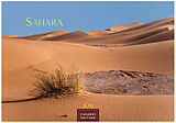 Kalender Sahara 2025 S 24x35 cm von 