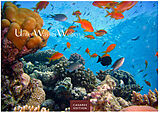Kalender Unterwasserwelten 2025 L 35x50cm von 