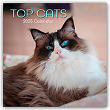Geheftet Top Cats  Top-Katzen 2025  16-Monatskalender von Gifted Stationery Co. Ltd