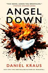 Kartonierter Einband Angel Down von Daniel Kraus