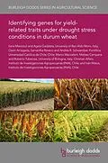 E-Book (pdf) Identifying genes for yield-related traits under drought stress conditions in durum wheat von Ilaria Marcotuli, Iván Matus, Agata Gadaleta