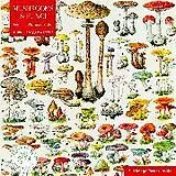 Adult Sustainable Jigsaw Puzzle Mushrooms & Fungi by Adolphe Philippe Millot Spiel