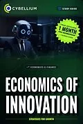 E-Book (epub) The Economics of Innovation von Cybellium