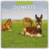 Kalender Donkeys  Esel 2027  16-Monatskalender von Robin Red