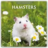 Kalender Hamsters Hamster 2027 16-Monatskalender von Robin Red