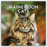 Kalender Maine Coon Cats  Maine Coon Katzen 2027  16-Monatskalender von Robin Red