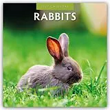 Kalender Rabbits  Hasen  Kaninchen 2027  16-Monatskalender von Robin Red