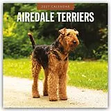 Kalender Airdale Terriers  Airdale Terrier 2027  16-Monatskalender von Robin Red