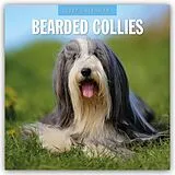 Kalender Bearded Collies  Bearded Collie 2027  16-Monatskalender von Robin Red