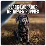 Kalender Black Labrador Retriever Puppies  Schwarze Labrador Retriever Welpen 2027  16-Monatskalender von Robin Red