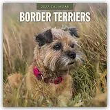 Kalender Border Terriers  Border Terrier 2027  16-Monatskalender von Robin Red