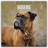 Kalender Boxers  Deutscher Boxer 2027  16-Monatskalender von Robin Red