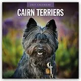 Kalender Cairn Terriers  Cairn Terrier 2027  16-Monatskalender von Robin Red