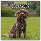 Kalender Cockapoos  Cockapoo 2027  16-Monatskalender von Robin Red