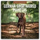 Kalender German Shorthaired Pointers  Deutscher Kurzhaar  Deutscher Kurzhaariger Vorstehhund 2027  16-Monatskalender von Robin Red