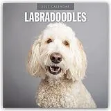 Kalender Labradoodles  Labradoodle 2027  16-Monatskalender von Robin Red