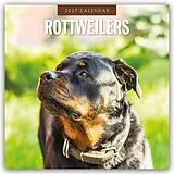 Kalender Rottweilers  Rottweiler 2027  16-Monatskalender von Robin Red