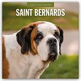 Kalender Saint Bernards  Bernhardiner 2027  16-Monatskalender von Robin Red