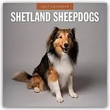 Kalender Shetland Sheepdogs  Sheltie 2027  16-Monatskalender von Robin Red