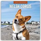 Kalender Welsh Corgis  Welsh Corgi 2027  16-Monatskalender von Robin Red