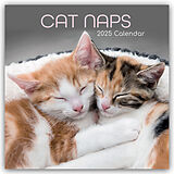 Geheftet Cat Naps  Träumende Katzen 2025  16-Monatskalender von Gifted Stationery Co. Ltd