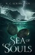 Kartonierter Einband (Kt) Sea of Souls von N. C. Scrimgeour