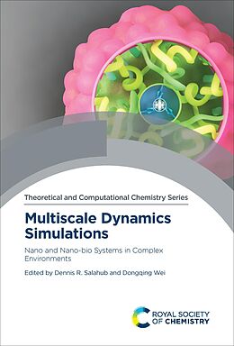 eBook (epub) Multiscale Dynamics Simulations de 